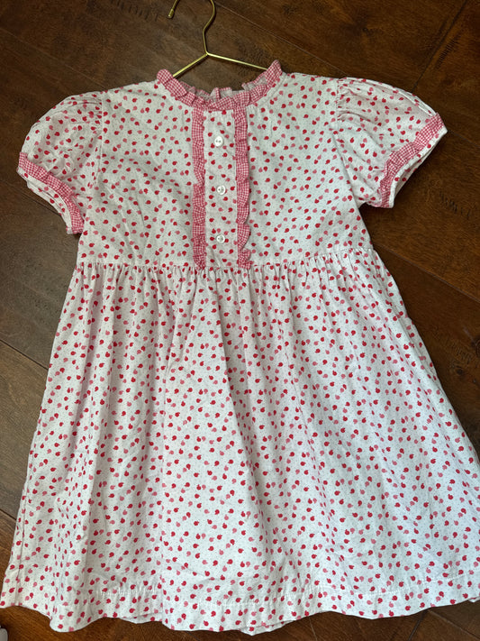 James & Lottie Apple Dress 7