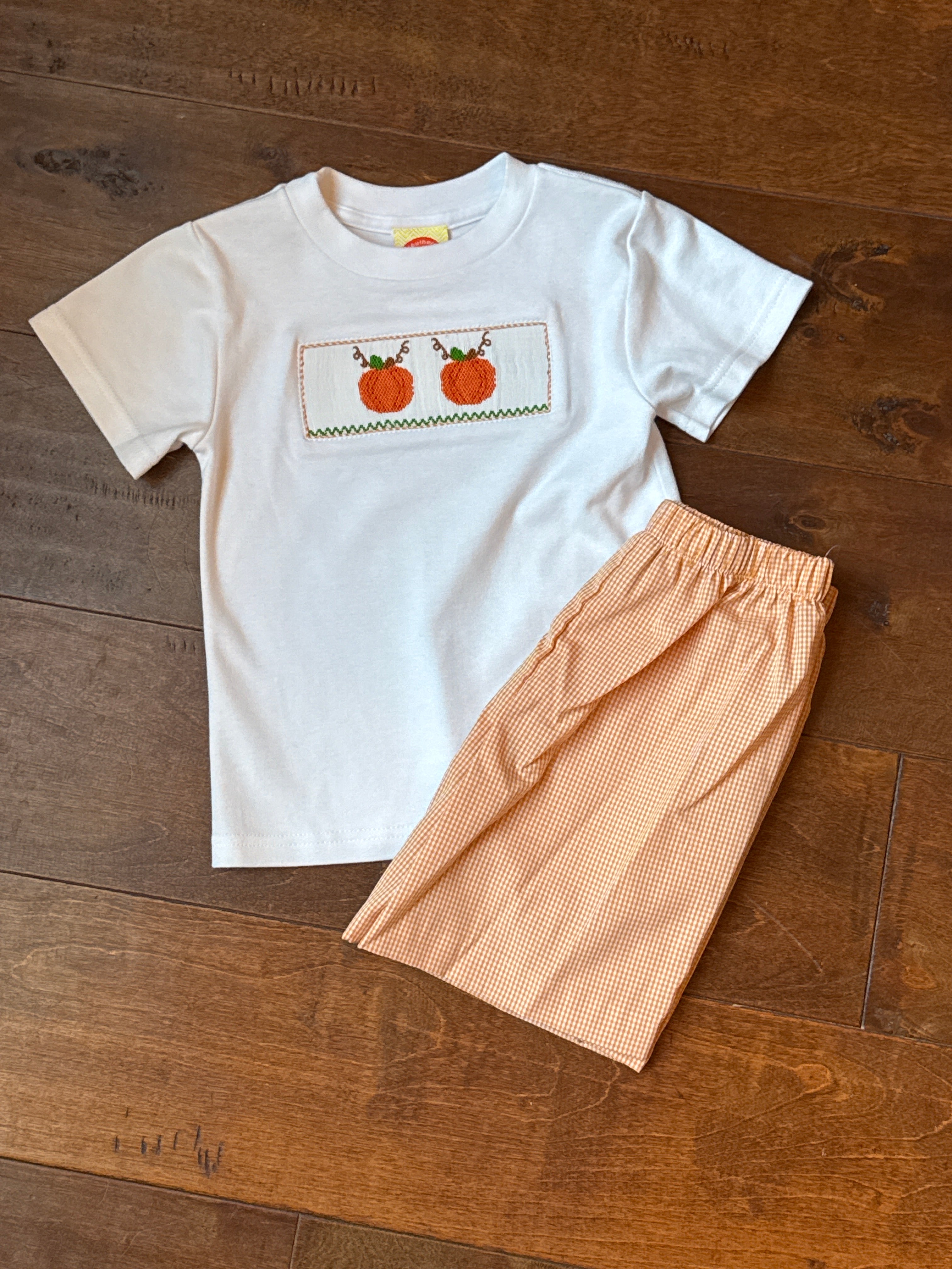Southern Sunshine Kids Smocked Pumpkin Short Set 3T