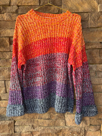 The Impeccable Pig Multi Sweater Ls Knit L