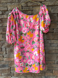 Crosby Paros Dress L