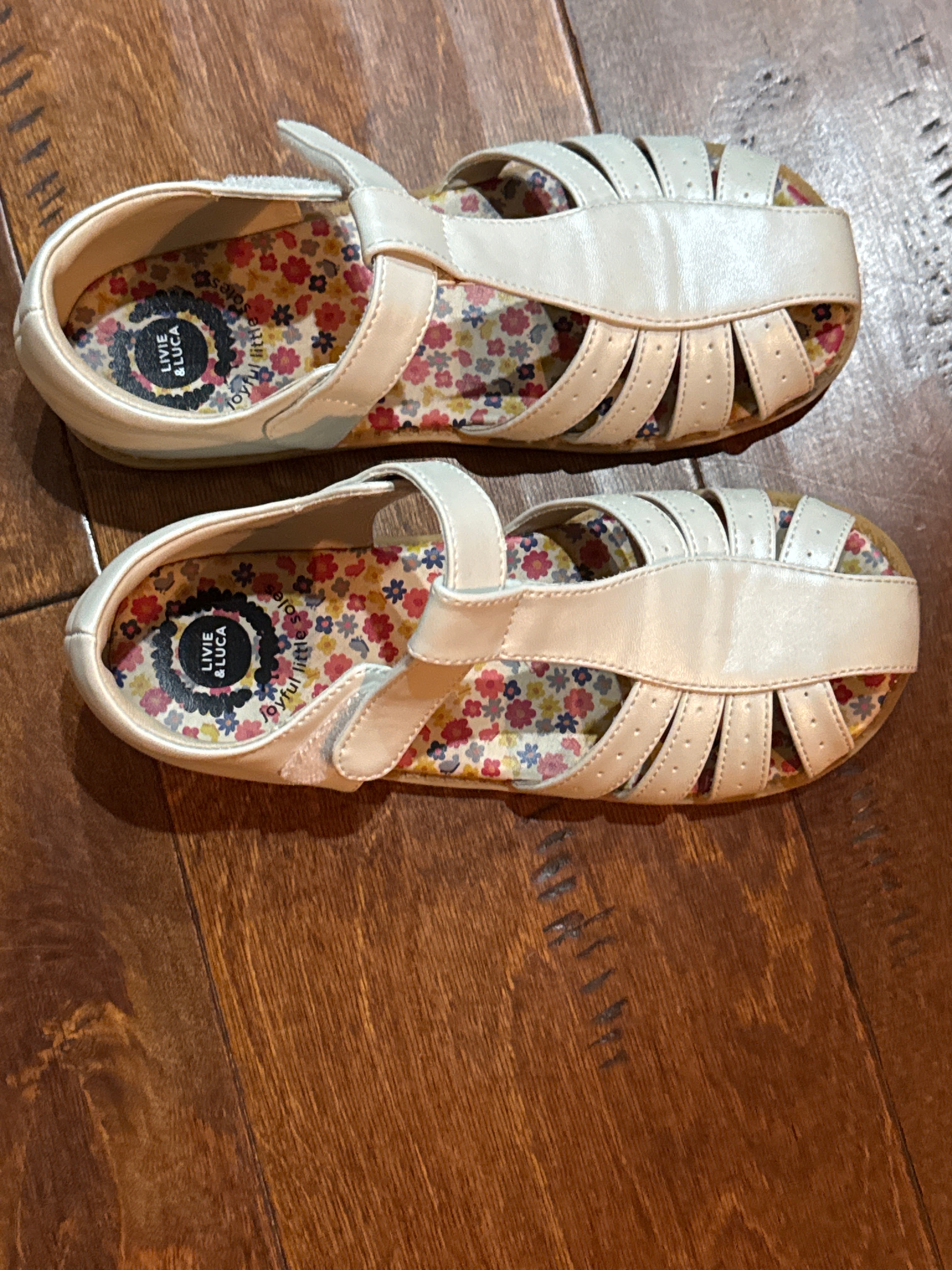 Livie & Luca T Strap Sandals 13