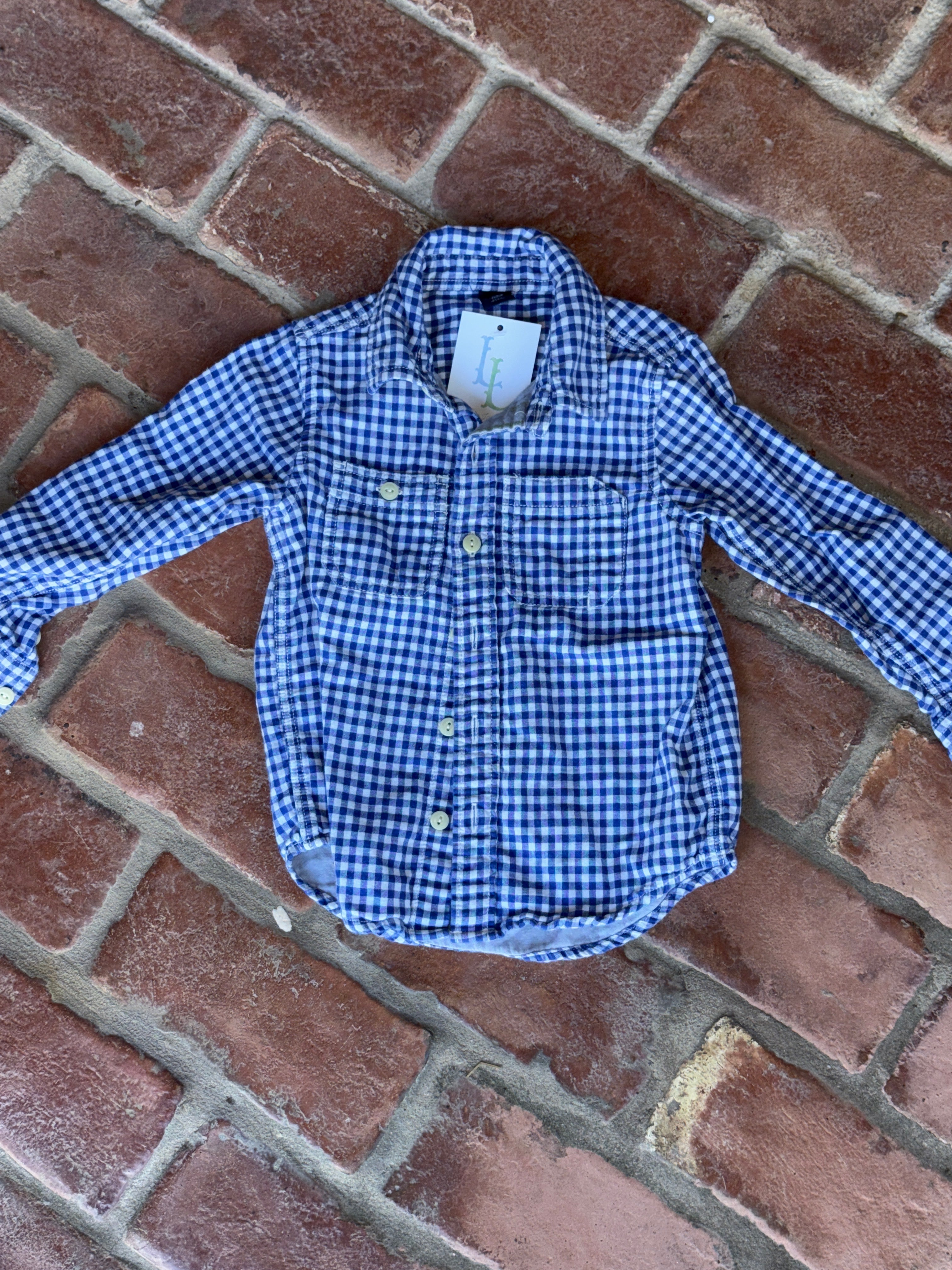 Blue Gingham Button Down Ls Shirt 3T