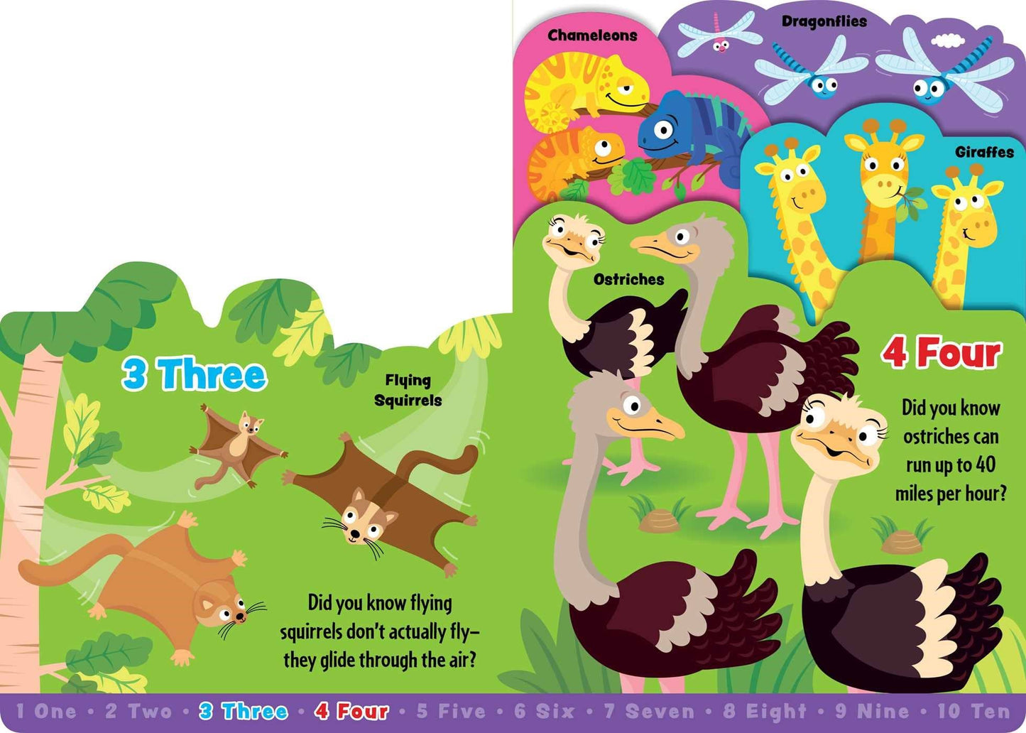 1-2-3 Animals in the Wild