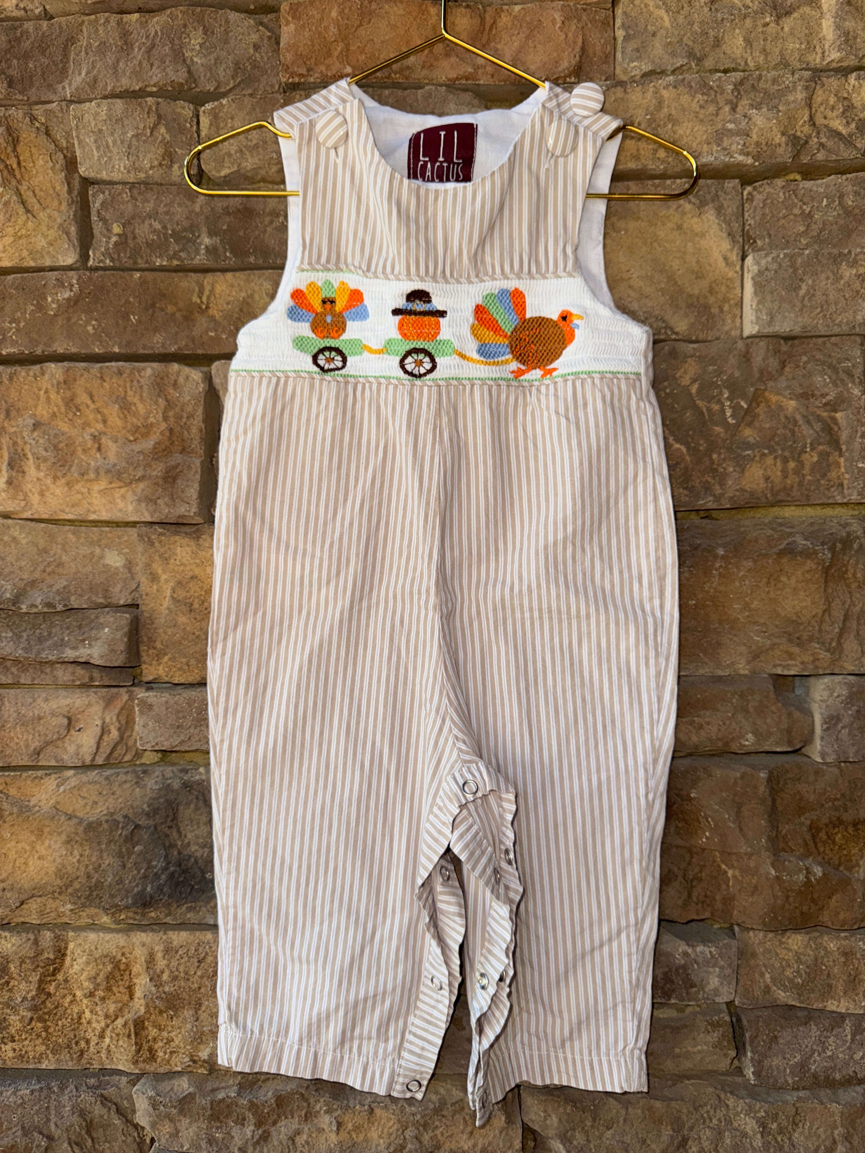 Lil Cactus Turkey Stripe Longall 6-12M