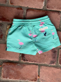 TBBC Swim Flamingo 12/18M