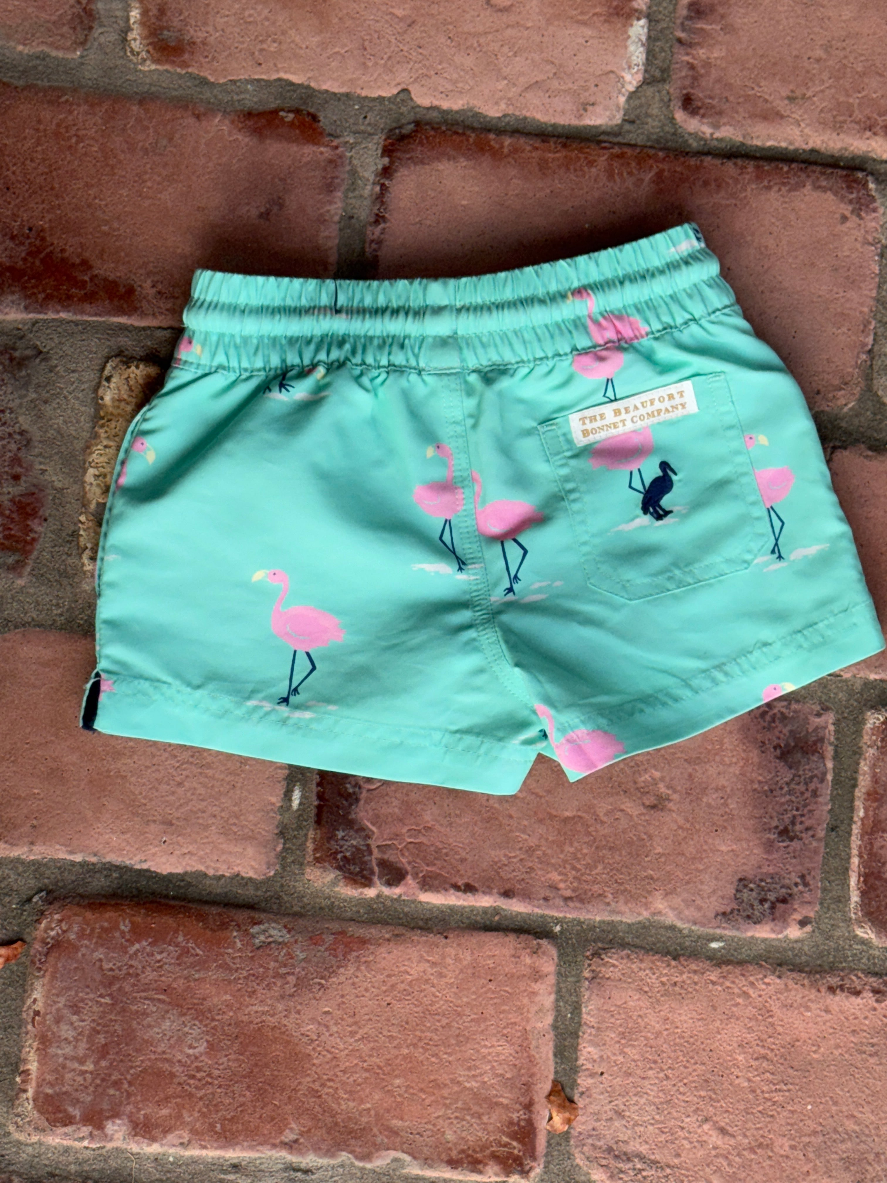 TBBC Swim Flamingo 12/18M