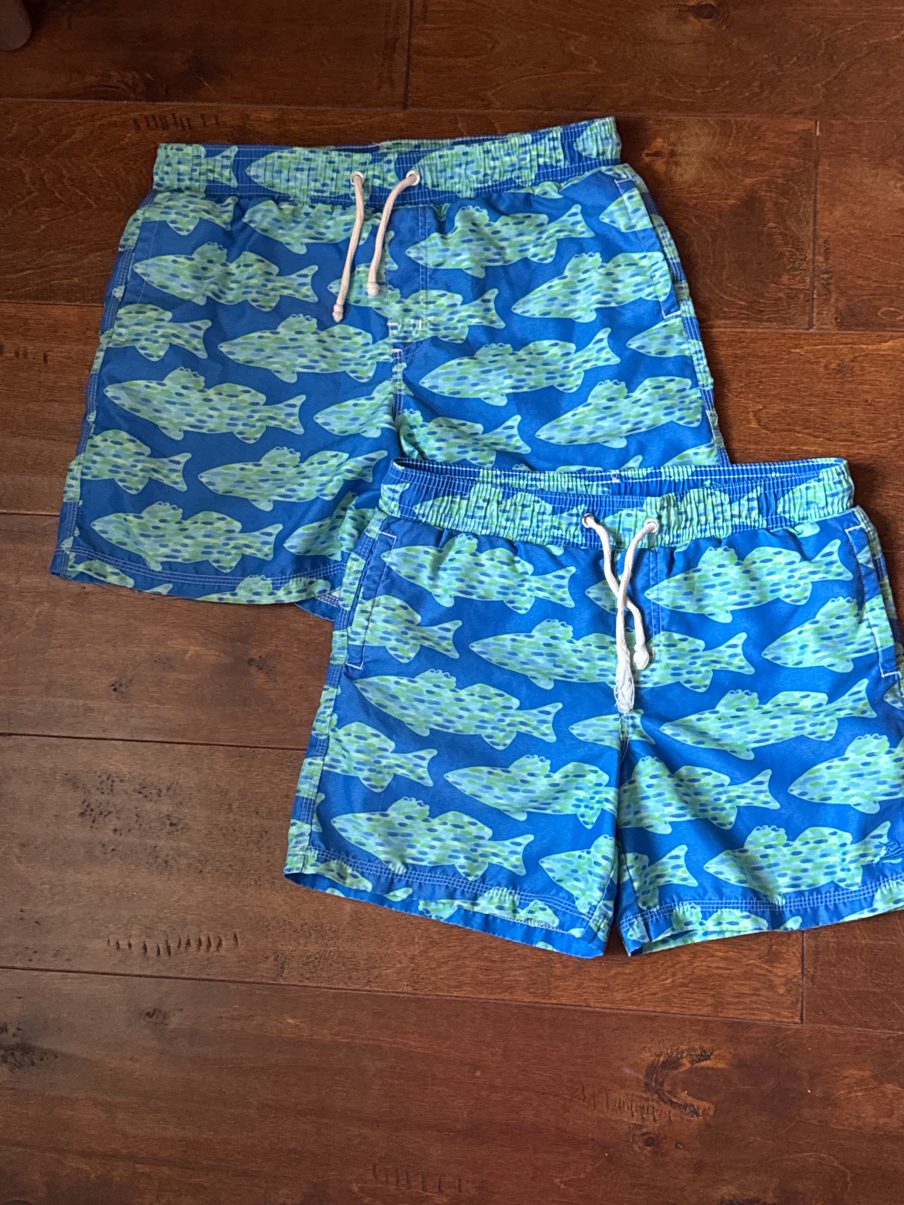 Southbound Watercolor Swim Shorts