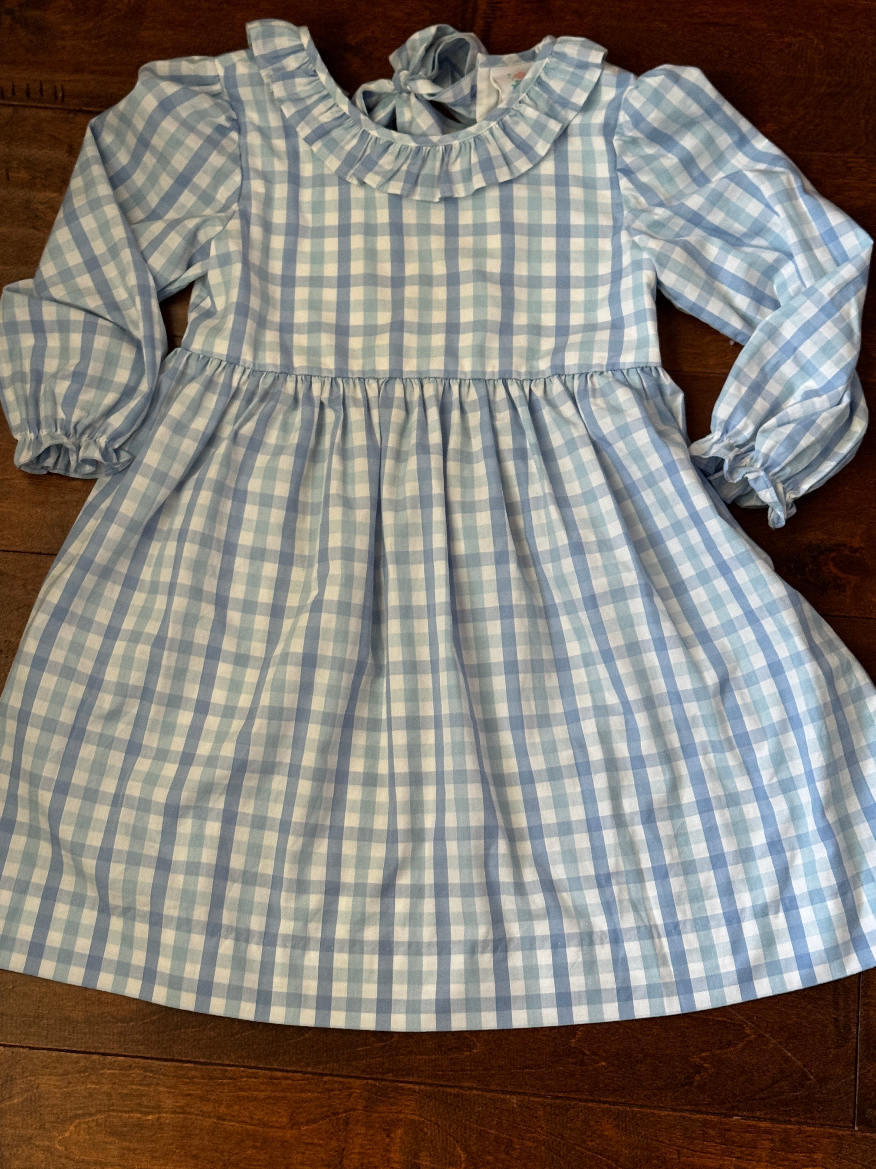 Stitchy Fish Blue Gingham Dress 7