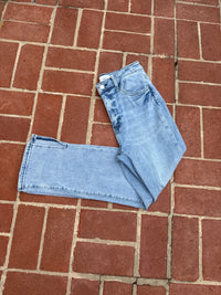 Vervet Light Wash Denim 28