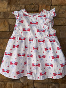 Stitchy Fish American Flag Set 7