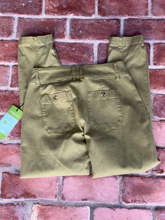 Cabi Moss Trooper Pant 4