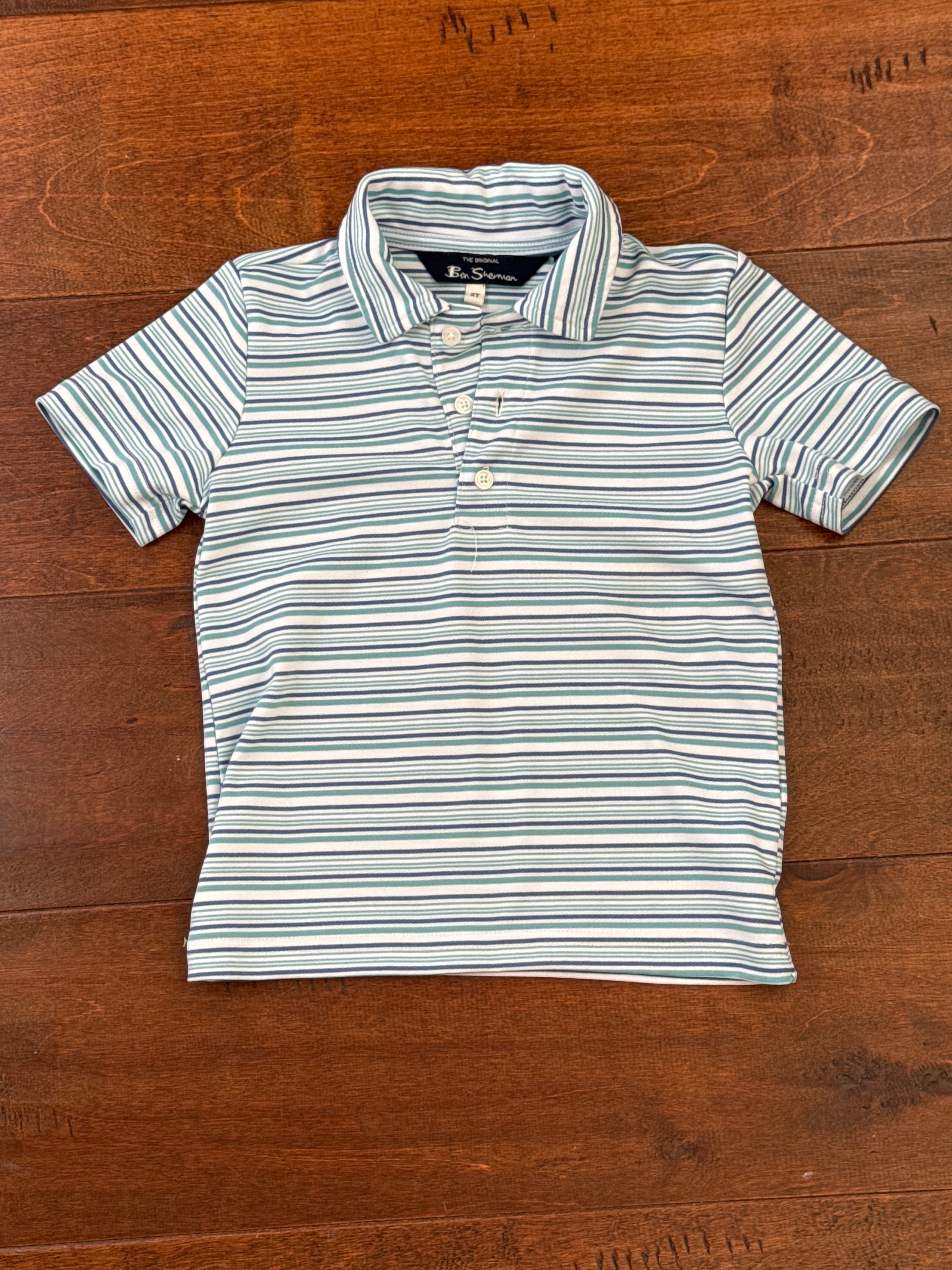 Blue and Green Stripe Performance Polo 3T