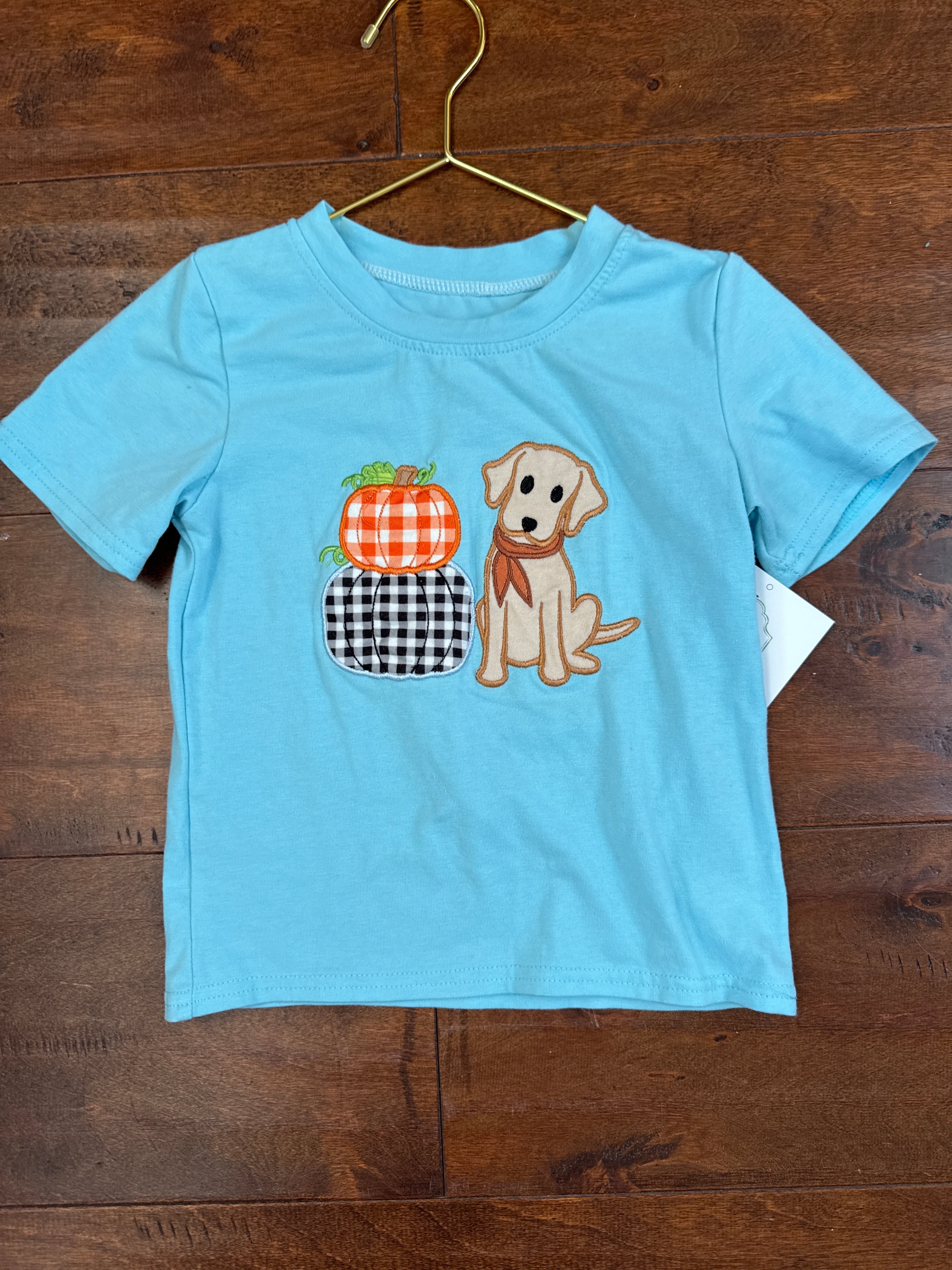 Pumpkin & Dog Tshirt 2T