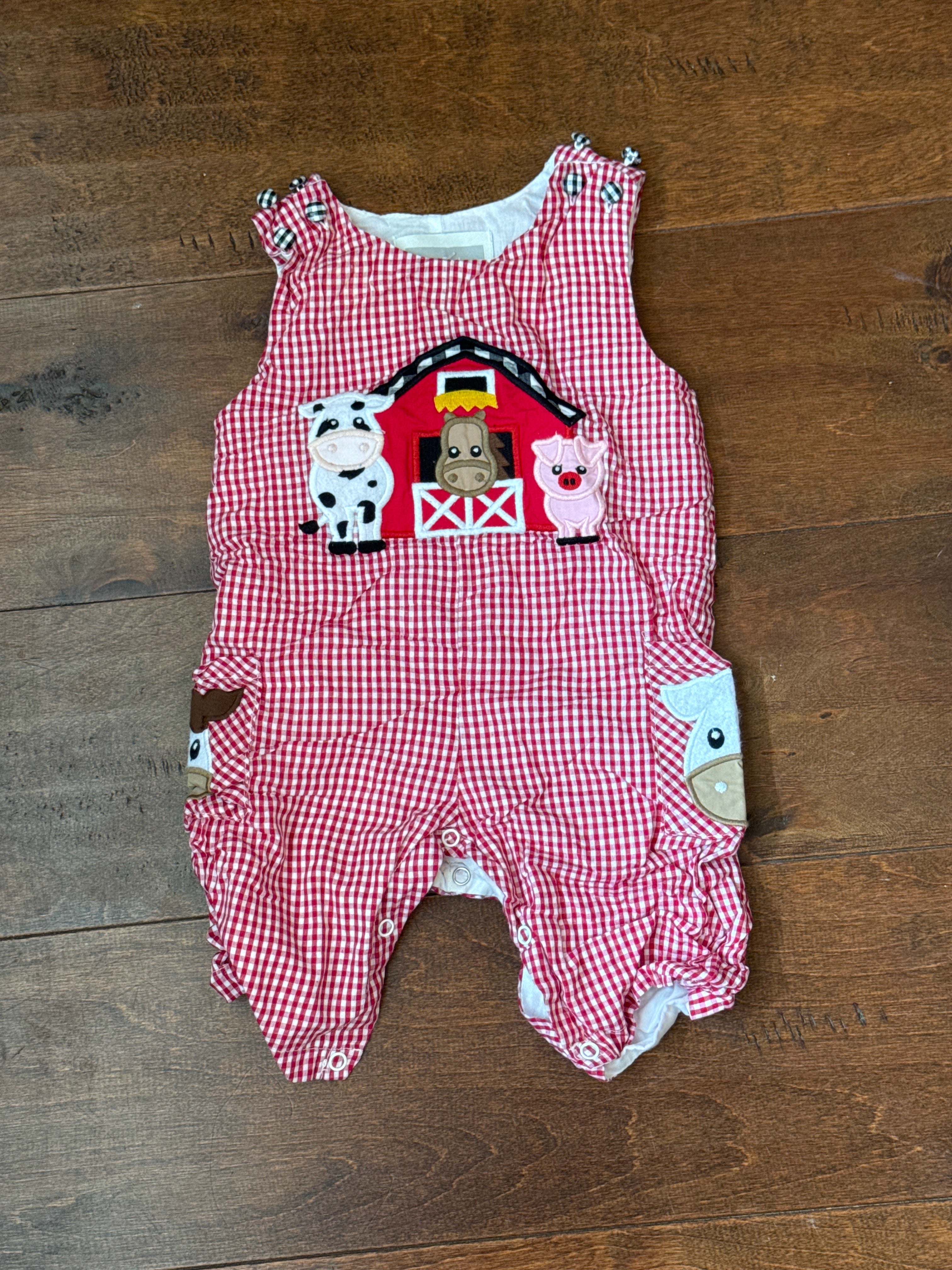 Lil Cactus Farm Gingham JonJon 3-6M