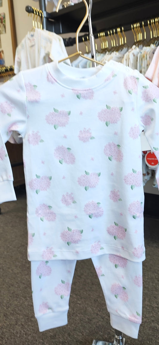 Hydrangeas PJ