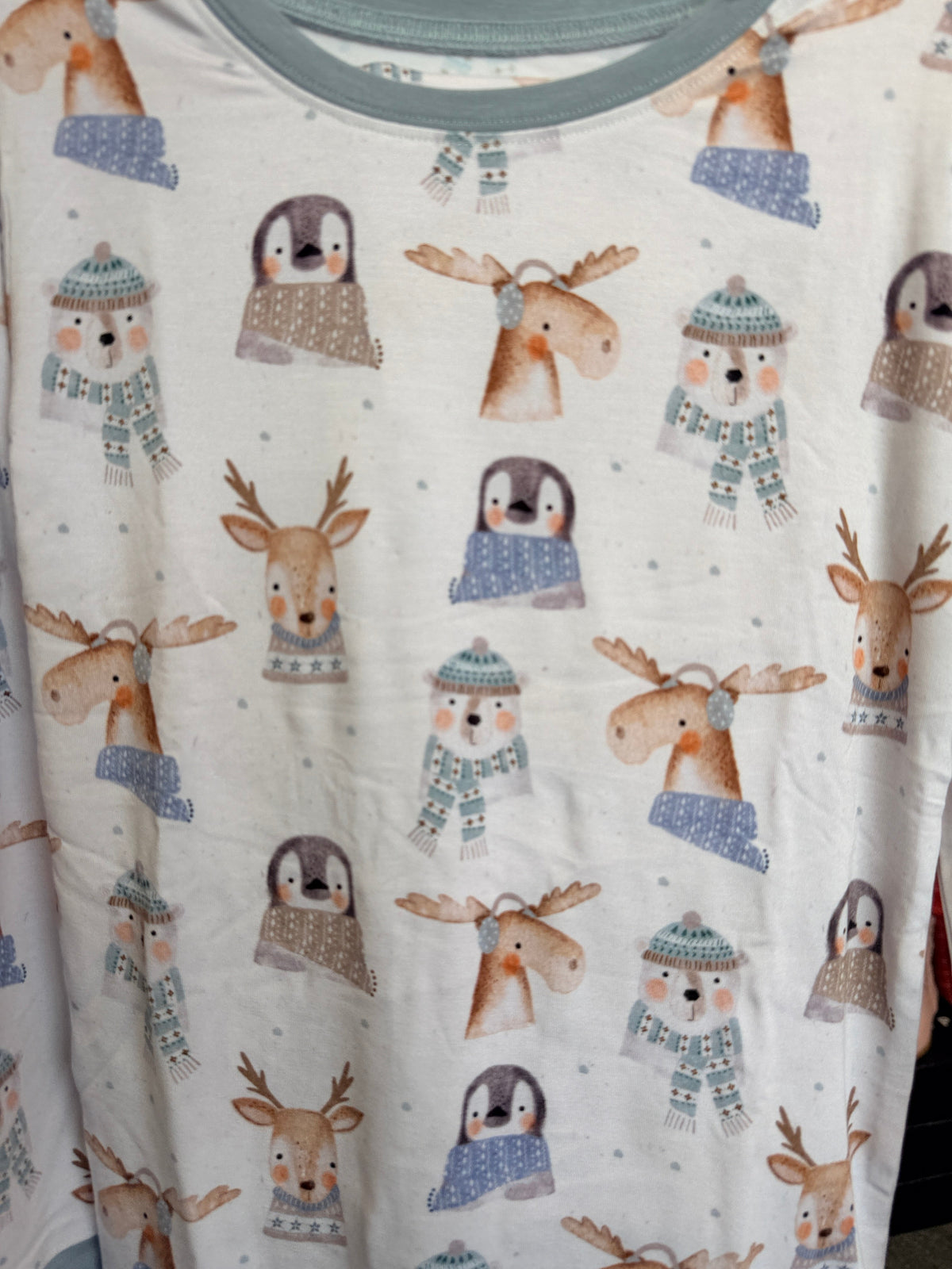 Winter Animals