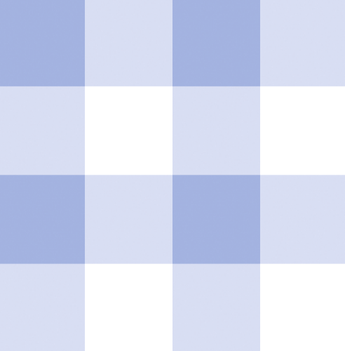 Insulated Lunch Bag - Blue Gingham