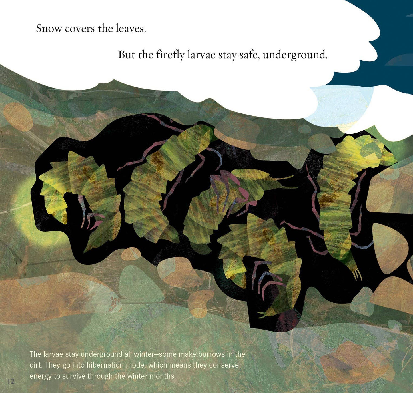 Light the Sky, Firefly! Picture Book
