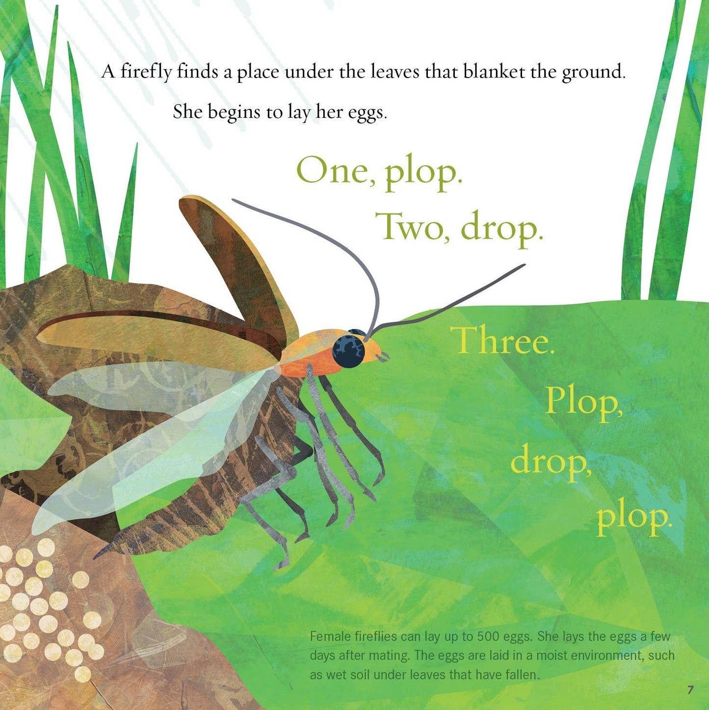 Light the Sky, Firefly! Picture Book